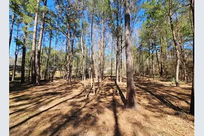 0 Reedwood, Montgomery, TX 77356 - Photo 1