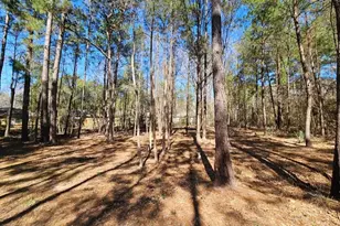 0 Reedwood, Montgomery, TX 77356 - Photo 1