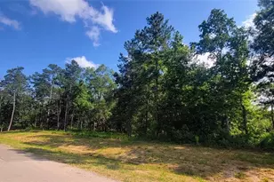 1235 County Rd 6324, Dayton, TX 77535 - Photo 1