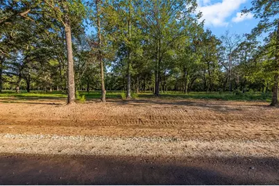 6106 Alans Memorial Lane, New Waverly, TX 77358 - Photo 3