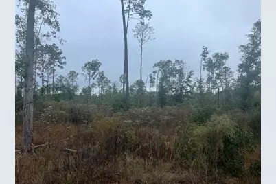 Tbd Reveille Road, Livingston, TX 77351 - Photo 5