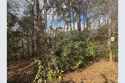 Lot 217 Mallard Drive, Coldspring, TX 77331 - Photo 7