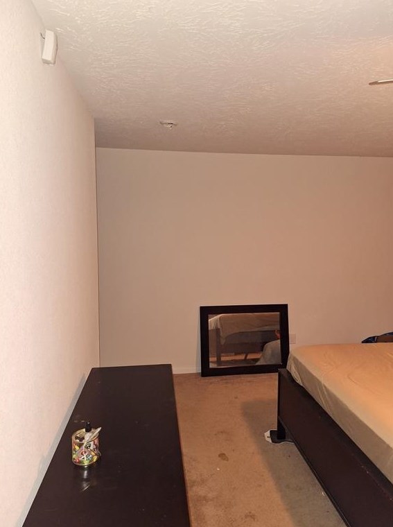 2519 Skyview Pt, Houston TX  77047-8123 exterior