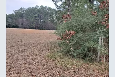 Lot 1 & 2 Oakley Road, Trinity, TX 75862 - Photo 11