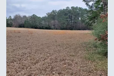 Lot 1 & 2 Oakley Road, Trinity, TX 75862 - Photo 13