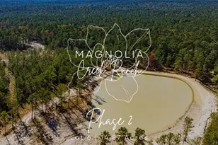 026 King Ranch Rd South Road S, Onalaska, TX 77360 - Photo 1