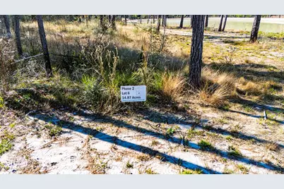 026 King Ranch Rd South Road S, Onalaska, TX 77360 - Photo 7