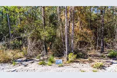 029 Sportsman Retreat Road, Onalaska, TX 77360 - Photo 3