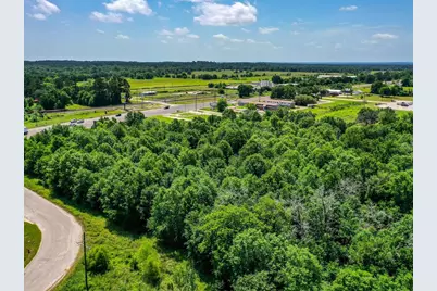 5.6 Acres Highway 19, Trinity, TX 75862 - Photo 9
