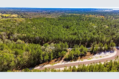 031 King Ranch Road South Road, Onalaska, TX 77360 - Photo 9