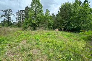 5782 E US Hwy 287, Woodlake, TX 75865 - Photo 17