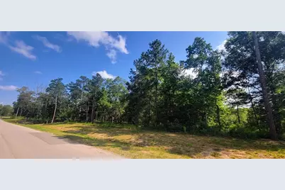1550 County Road 632, Dayton, TX 77535 - Photo 1
