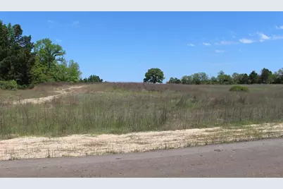 Tract 90 Private Road 1317, Centerville, TX 75833 - Photo 9
