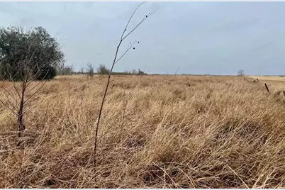 08 County Road 319, Edna, TX 77957 - Photo 3