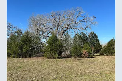 19285 Moriarty Road, Richards, TX 77873 - Photo 3