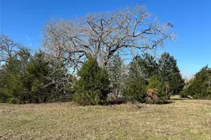 19285 Moriarty Rd, Richards, TX 77873 - Photo 3