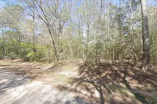 0 Hunters Trail, New Caney, TX 77357 - Photo 1