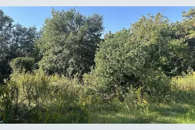 785 Young Street, Bridge City, TX 77611 - Photo 3