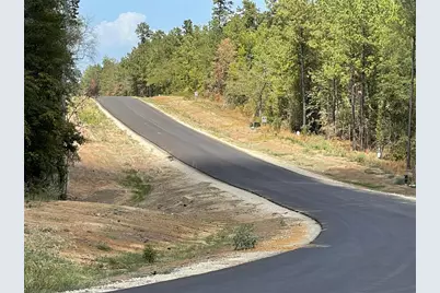 54 Coyote Run, New Waverly, TX 77358 - Photo 11