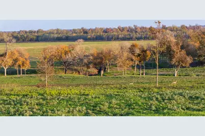 6164 Brazos Bow Way, Washington, TX 77880 - Photo 17