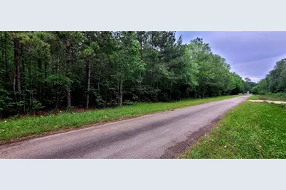 Tbd Cr 349, Cleveland, TX 77327 - Photo 3
