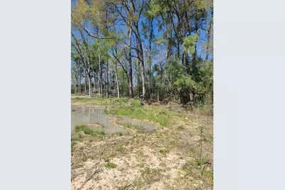 Fm 1960 Business, Houston, TX 77338 - Photo 3