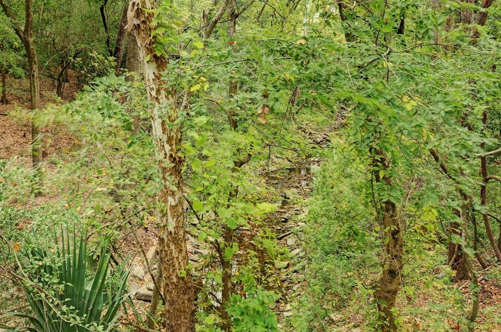 103 Hickory Rdg Dr, Houston TX  77024-6229 exterior