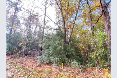 Lot 21 Lula Drive, Huntsville, TX 77320 - Photo 7