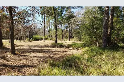 Lots 409 & 410 Big Deer Drive, Crosby, TX 77532 - Photo 5