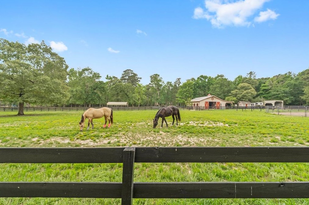 16164 Koenig Ln, Conroe TX  77384-4087 exterior