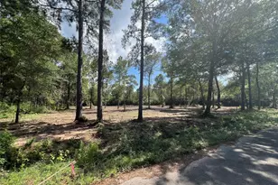 Tbd Lot 3 Deerwood Dr, Plantersville, TX 77363 - Photo 1