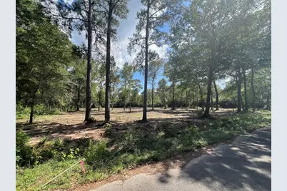 Tbd Lot 3 Deerwood Drive, Plantersville, TX 77363 - Photo 7