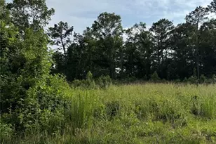 Tbd Pine Bend, Cleveland, TX 77327 - Photo 1