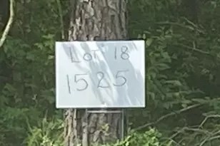 1525 Silver Crk Ln, Montgomery, TX 77316 - Photo 3