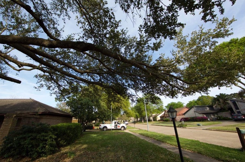 15626 Sandy Hill Dr, Houston TX  77084-3633 exterior