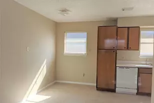 915 Alexander St, Houston, TX 77008 - Photo 7