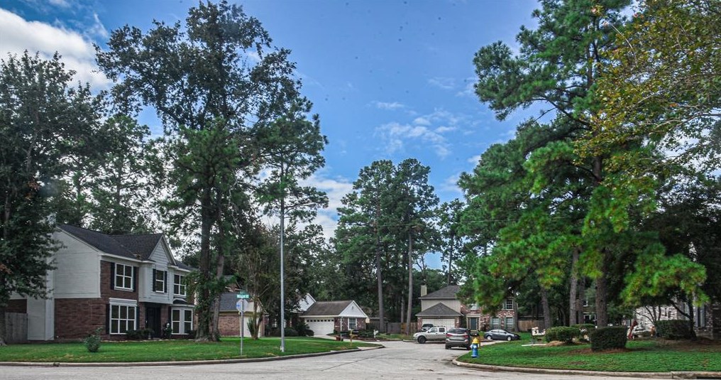507 Alley Ct, Spring TX  77388-6100 exterior