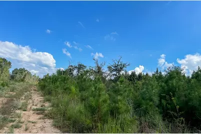 01 Cr 4916, Timpson, TX 75975 - Photo 15