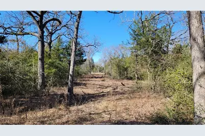 Lot 9 Old Hickory Trail, Franklin, TX 77856 - Photo 41