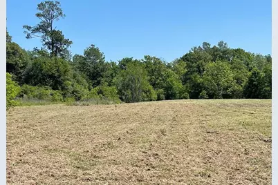 Tbd State Highway 19 S, Lovelady, TX 75851 - Photo 3