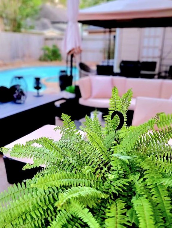 15218 Ripplewind Ln, Houston TX 77068-1930 exterior