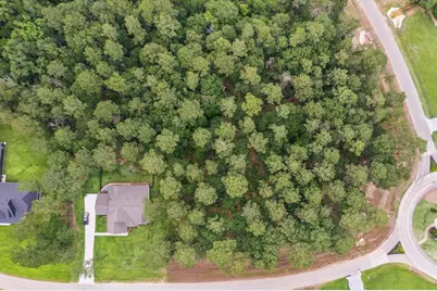 8713 Cedar Meadow Lane, Plantersville, TX 77363 - Photo 9