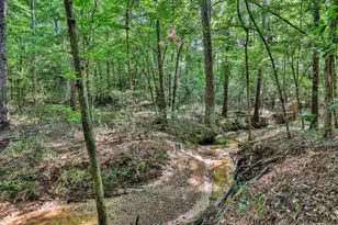 275 Fairview E, Livingston, TX 77351 - Photo 21