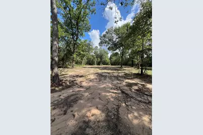 Tbd Lot 2 Deerwood Drive, Plantersville, TX 77363 - Photo 1