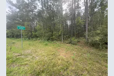 Tract 107 Hwy 156, Coldspring, TX 77331 - Photo 3