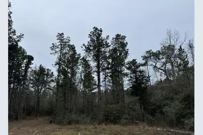 467 County Road 3035, Newton, TX 75966 - Photo 5