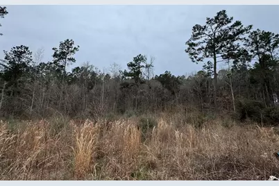 467 County Road 3035, Newton, TX 75966 - Photo 7