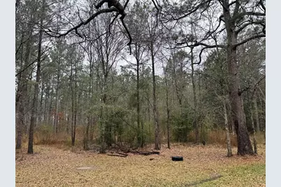 467 County Road 3035, Newton, TX 75966 - Photo 3