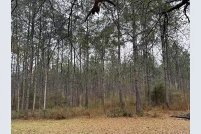 467 County Road 3035, Newton, TX 75966 - Photo 1