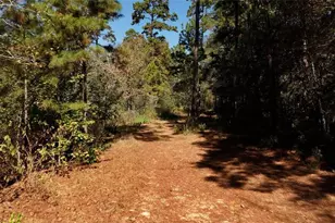 000 Tbd Parrish Trail, Montgomery, TX 77356 - Photo 3